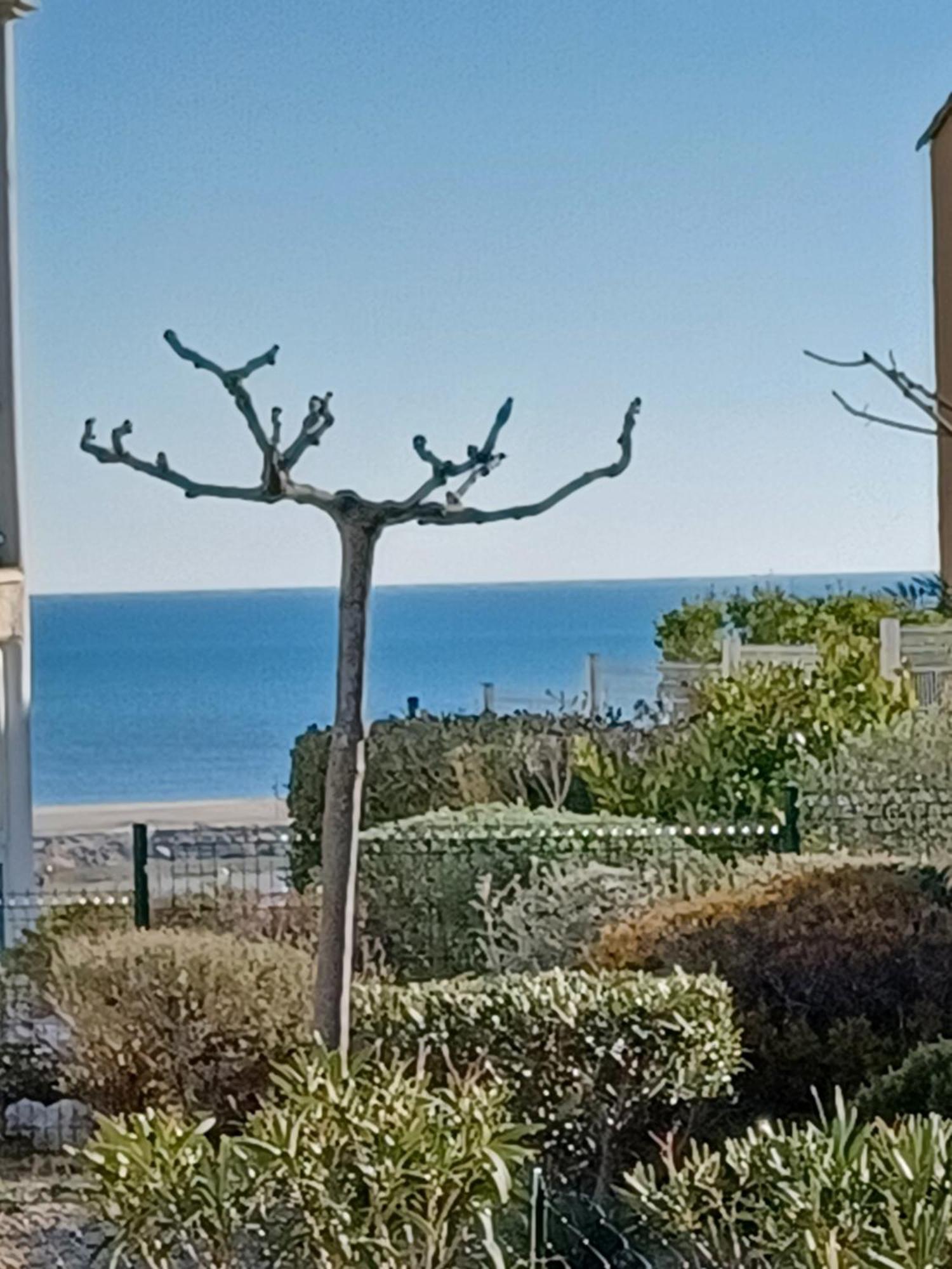 Plain-Pied Jardin 6 Personnes Clim Vue Mer Parking Wifi Terrasse Piscine Dans La Residence Saint-Pierre-la-Mer  Exterior photo